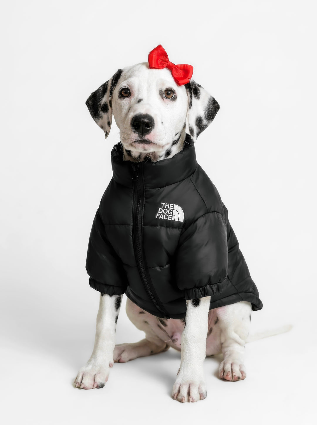 THE DOG FACE Puffer Jacket - Black