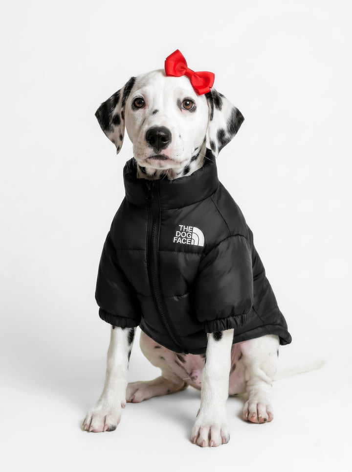 THE DOG FACE Puffer Jacket - Black