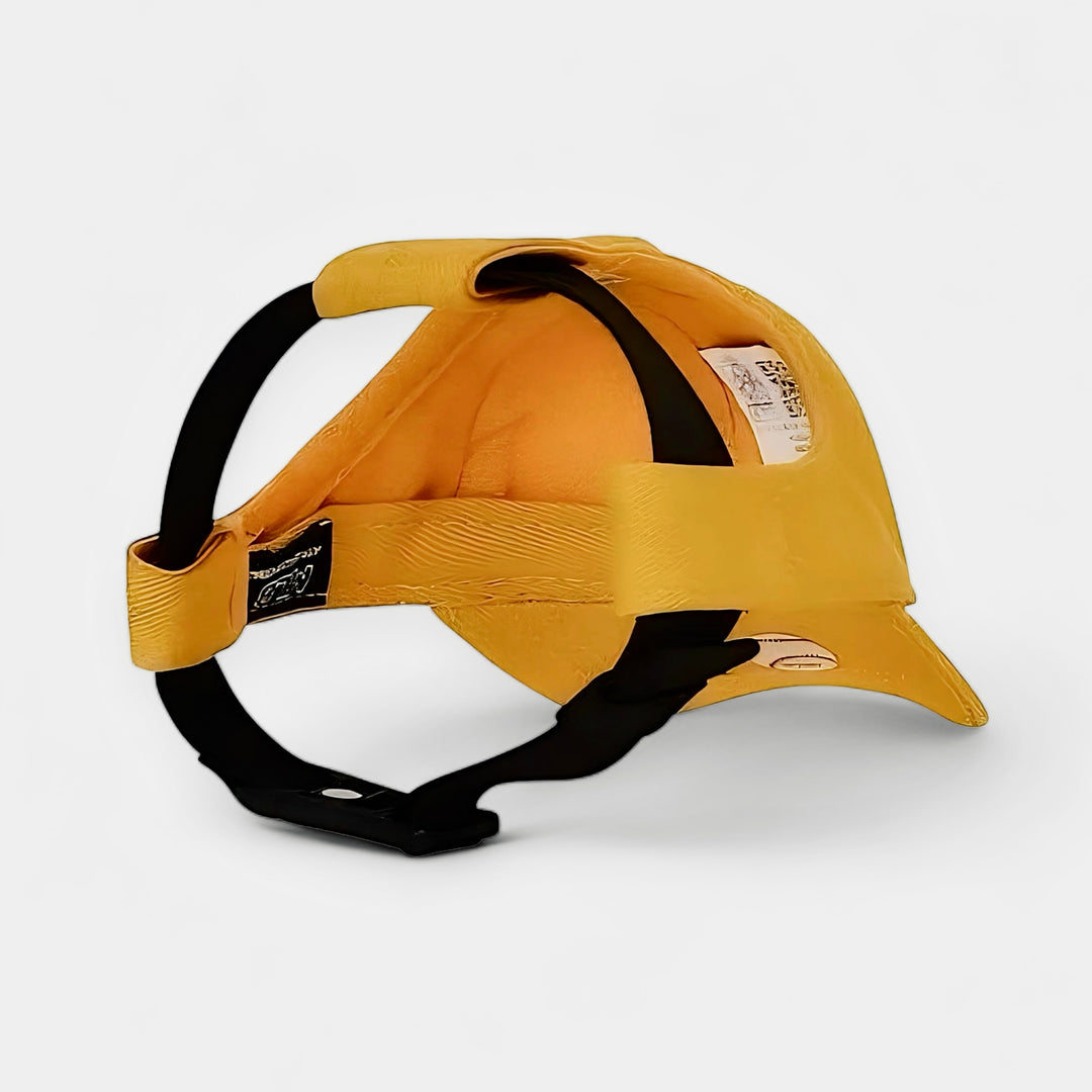 Houston Astros Dog Hat