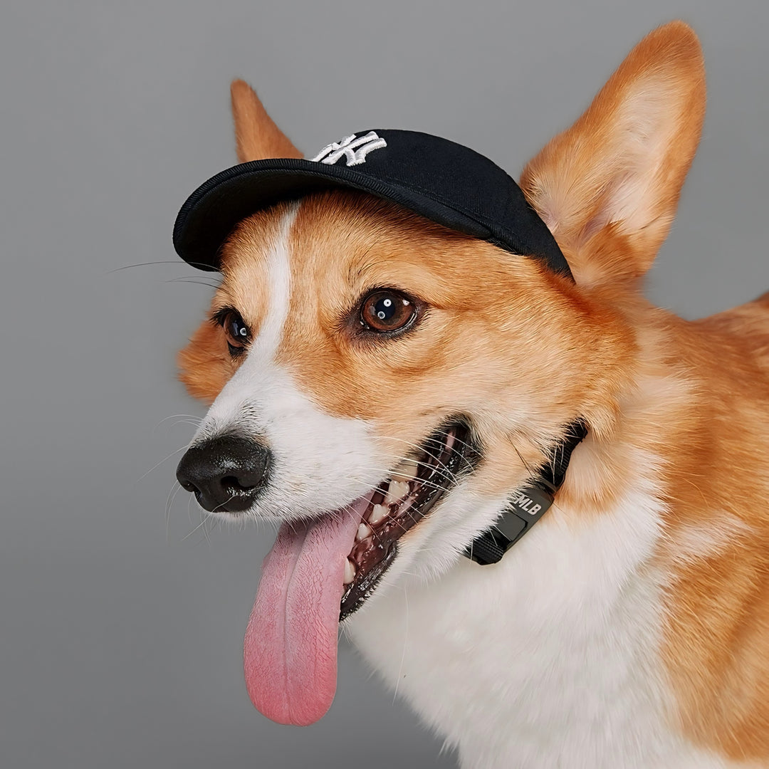 NY Yankees Dog Hat