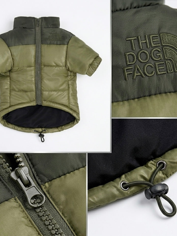 The Dog Face Puffer