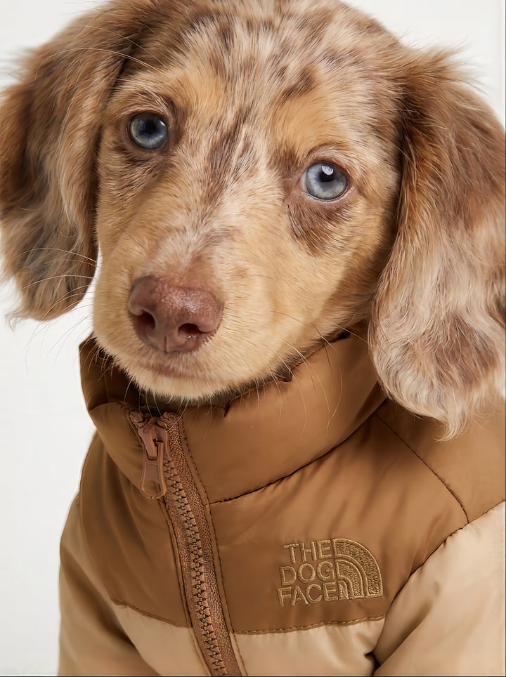 THE DOG FACE Puffer Jacket - Peanut Butter