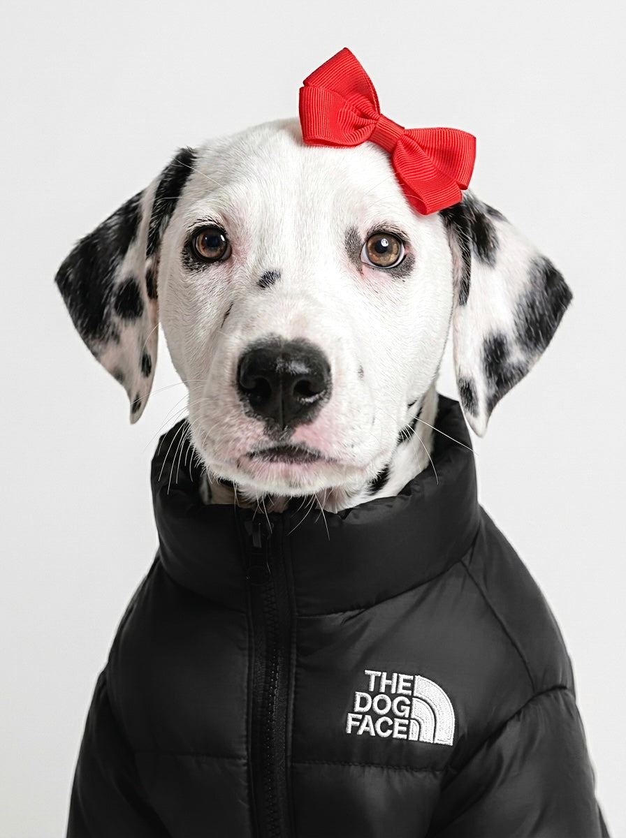 THE DOG FACE Puffer Jacket - Black